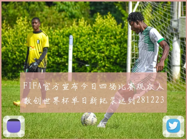 FIFA官方宣布今日四场比赛观众人数创世界杯单日新纪录达到281223人